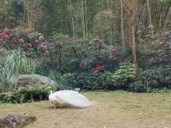 -川匠·睡眠采耳·SPA(九眼桥店)