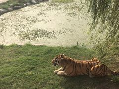 -上海野生动物园
