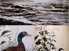-深圳博物馆(古代艺术馆)