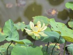 -木塔寺遗址生态公园