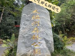 -普洱太阳河森林公园