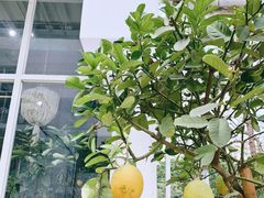 -CHILLAX轻乐时(侨建·Hi City店)