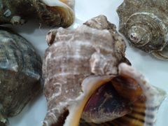 -聚德福海鲜家常菜(刘庄店)