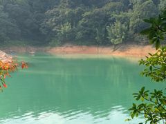 -广州市流溪河国家森林公园