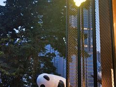 -嫩芽 ·地道重庆菜(十八梯露台夜景店)