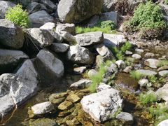-苍山感通索道