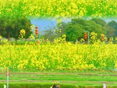 -光明小镇欢乐田园