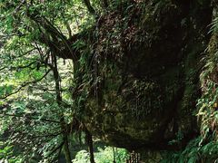 -龙苍沟森林公园