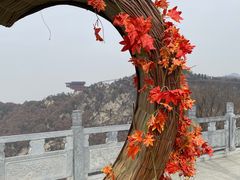 -少华山国家森林公园