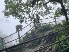 -峨眉山风景名胜区
