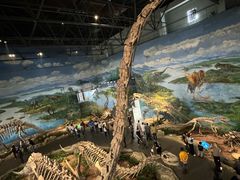 -自贡恐龙博物馆