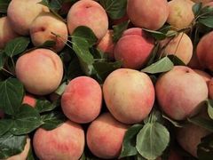 -上海龙吴水胜海发市场