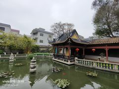 -碧江金楼