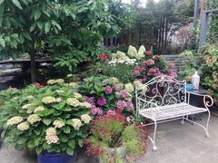 -凤来栖·净庭院·火锅(欧尚店)