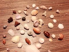 -白沙湾海滩