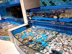 -乔哥铭洋海鲜自助(皇城恒隆广场店)