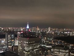 -东京都厅舍