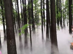 -东湖落雁景区