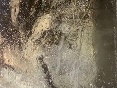 -铁锅炖灶台鱼老三炖鱼馆