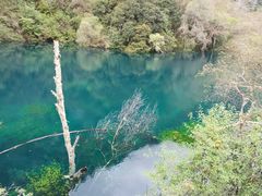 -叠溪松坪沟景区