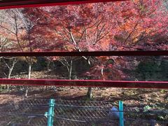 -岚山嵯峨野观光小火车