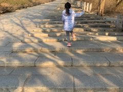 -府君山公园