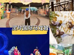 -灵玲国际马戏城
