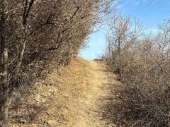 -北京西山国家森林公园