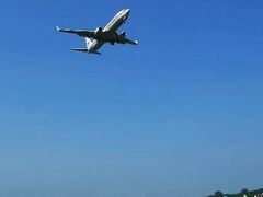 -空港花田景区