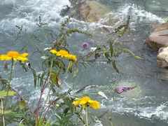 -西岭雪山大飞水景区