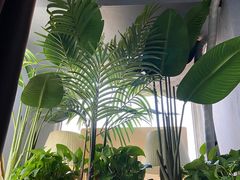 -大观园影院式足浴Spa店(沙坪坝店)