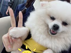 -怪兽屋·羊驼·猫咖·狗咖(俊华广场店)