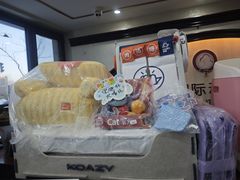 -宠爱国际动物医院·消化内科·心肾内科·ISFM猫友好(望京店)