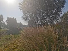 -汉长安城未央宫国家考古遗址公园