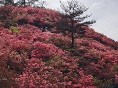 -木兰云雾山