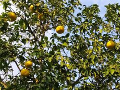 -九里河湿地公园