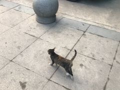 -仟吉(沿港路店)