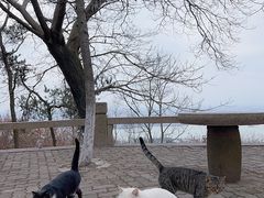 -虞山风景区