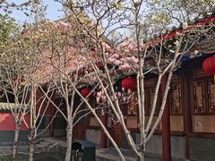-天津市峰山药王古寺