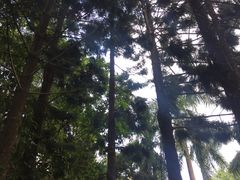 -人民公园(罗湖区)