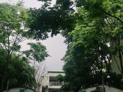 -成都高新区新北幼儿园