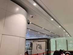 -麦当劳(北京大兴机场二层国内到达(安检外)店)