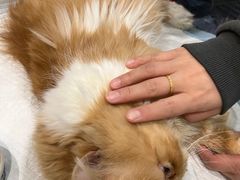 -美迦爱-牙专科·兔科·骨科诊疗中心(北苑店)