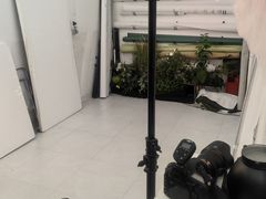 -海马体照相馆(上海晶耀前滩店)