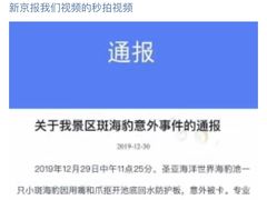 -大连圣亚海洋世界