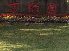 -万绿园