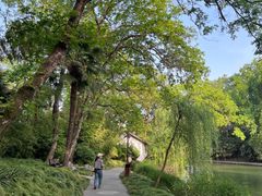 -盆景园(扬州大运河文化旅游度假区)