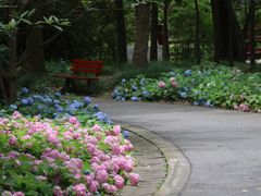 -上海滨江森林公园