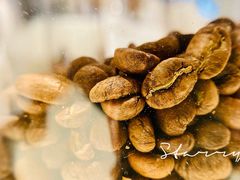 -Punchline Coffee&Roaster(同济大学店)