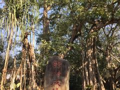 -瑞丽独树成林风景区